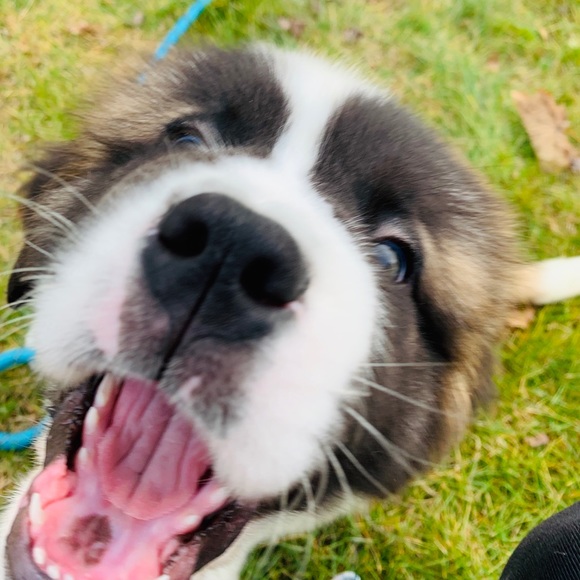 Meet your Posher, Rahul - Picture 1 of 2